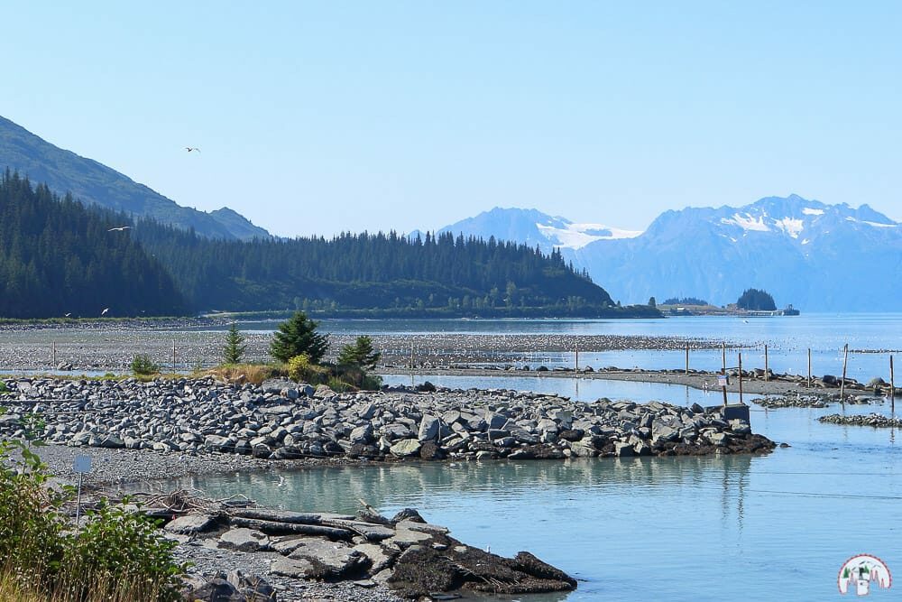 Valdez Salmon Hatchery um in Alaska Bären zu beobachten