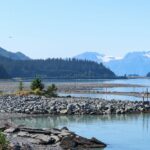 Valdez Salmon Hatchery um in Alaska Bären zu beobachten