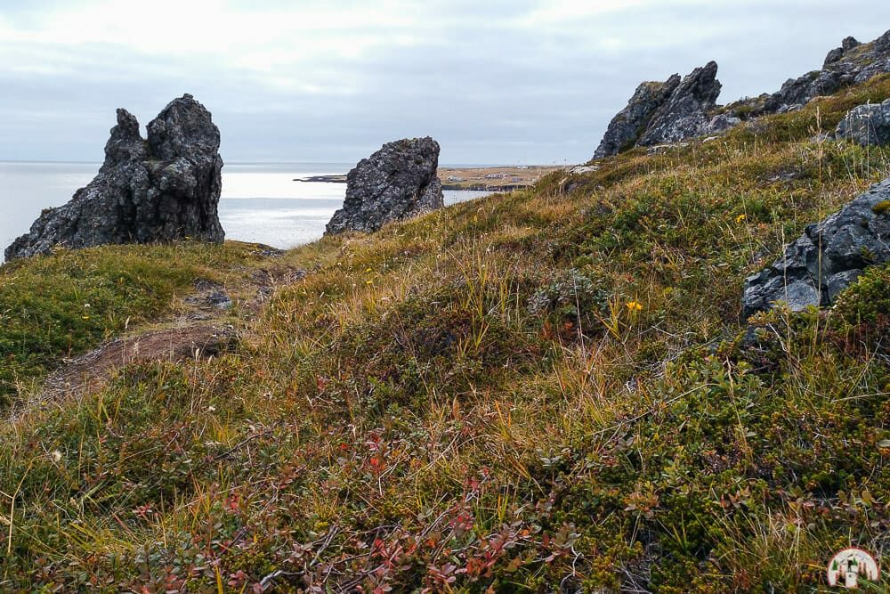 Aussicht zwischen Hellnar und Arnarstapi im Westen Islands