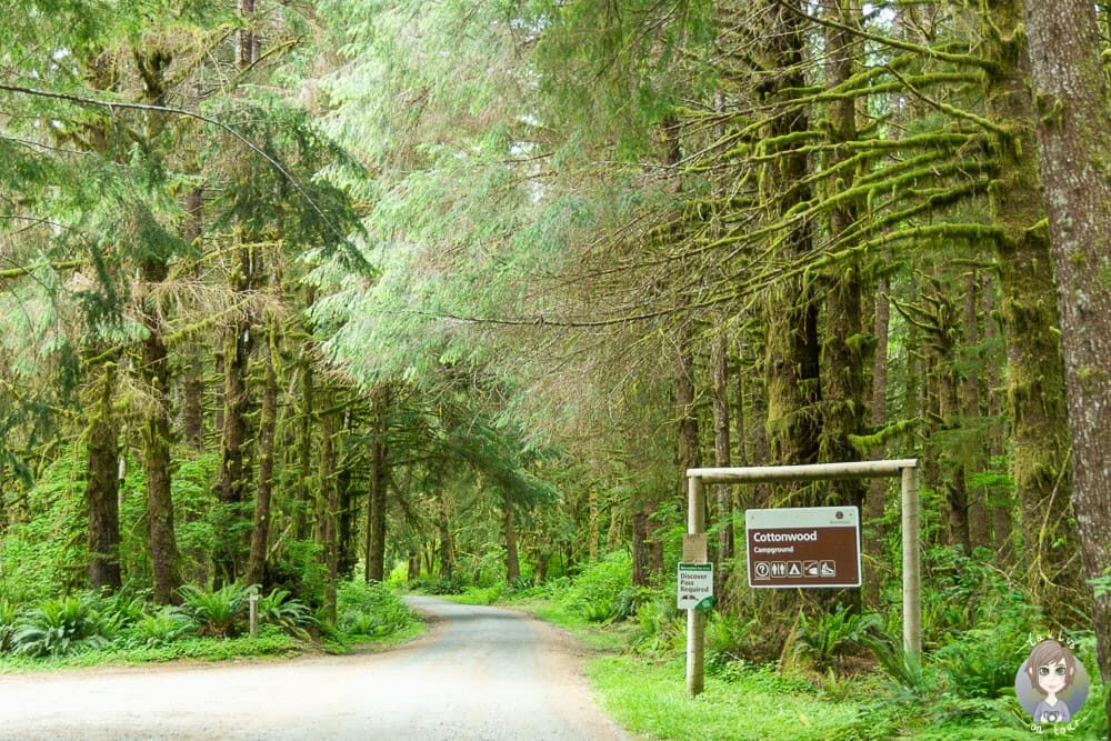 Eingang vom Cottonwood Campground
