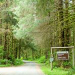 Eingang vom Cottonwood Campground