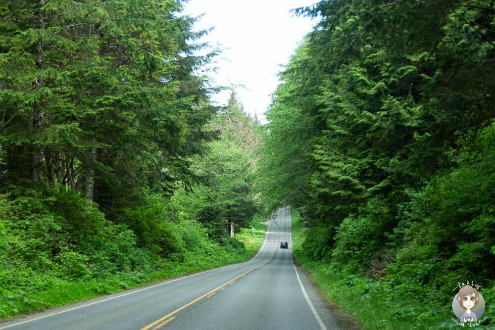 Highway 101 in Washington State