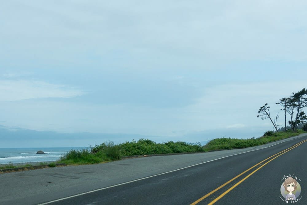 Highway im Kalaloch District