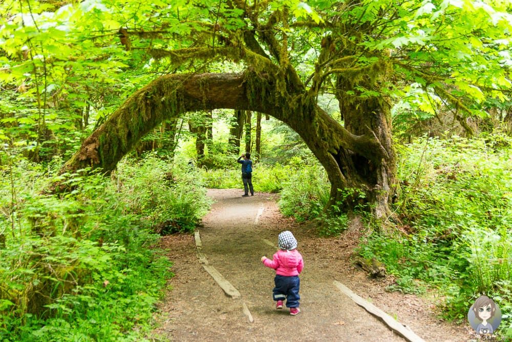 Mit Kind im Olympic National Park