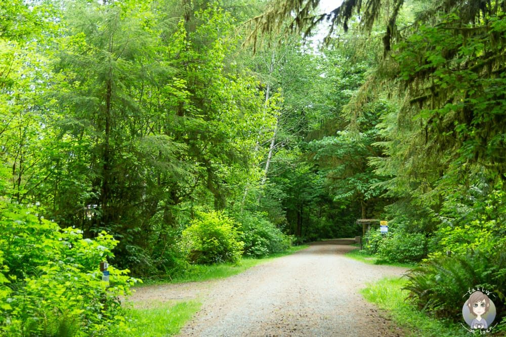 Fahrt über den Minnie Peterson Campground