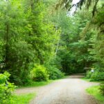 Fahrt über den Minnie Peterson Campground