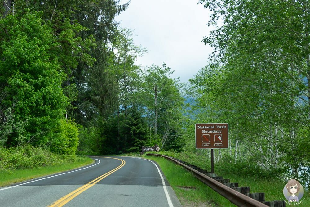 Einfahrt Olympic National Park