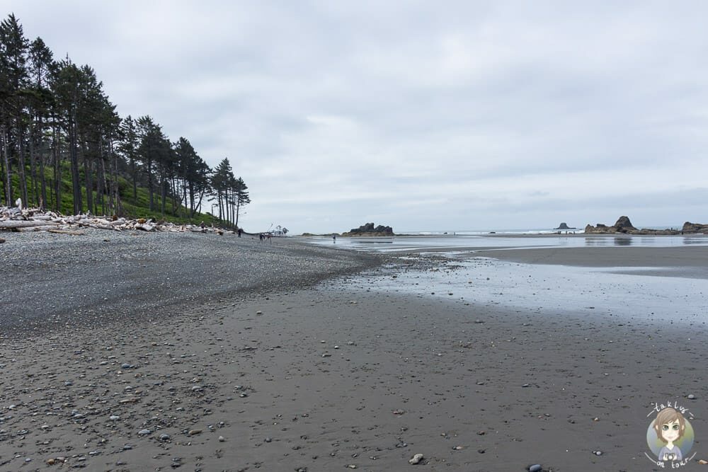 Blick über den Ruby Beach