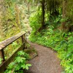 Spaziergang auf dem Rain Forest Nature Trail