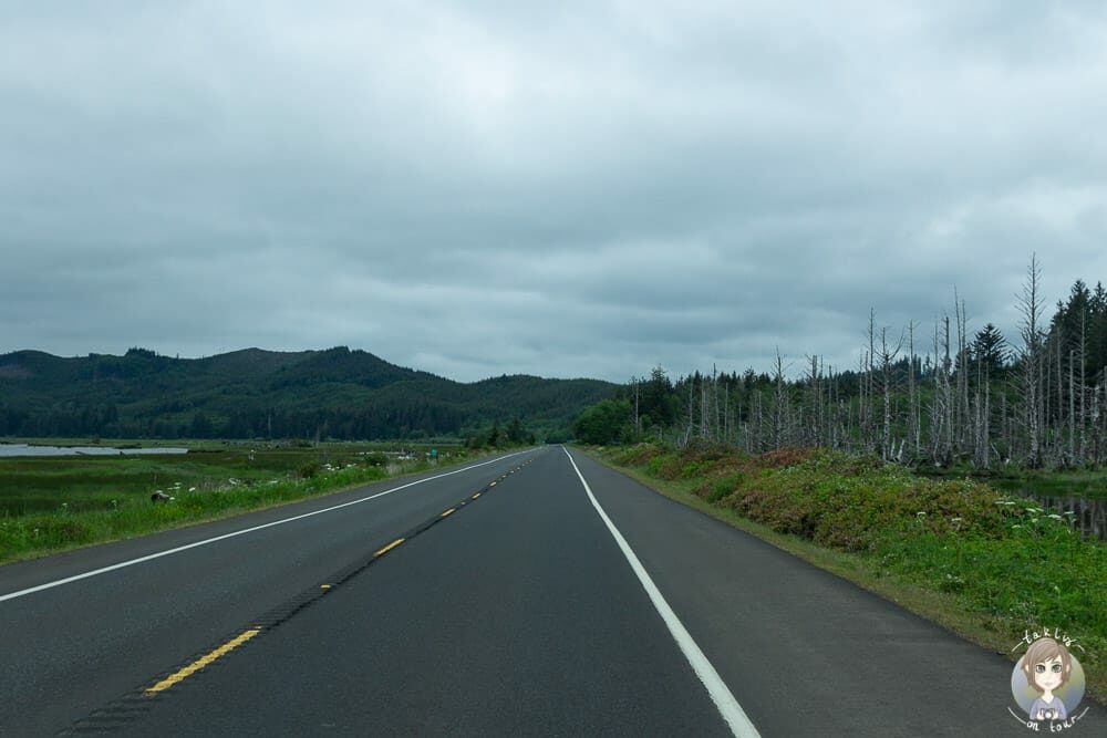 Fahrt durch Washington State
