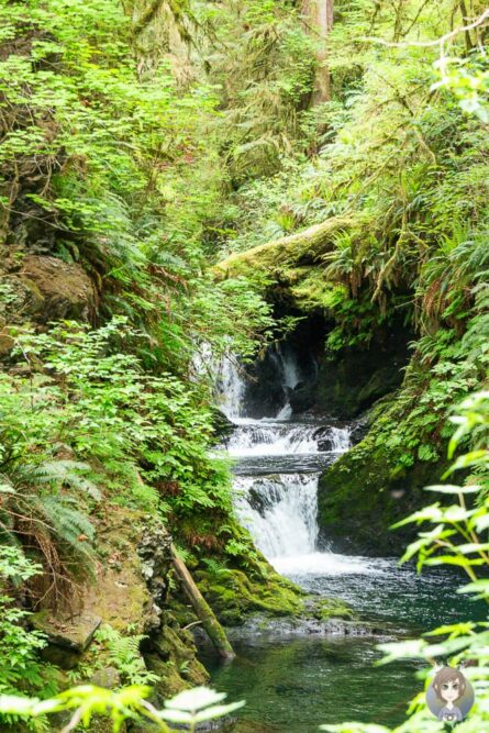 Ein Wasserfall am Rain Forest Nature Trail