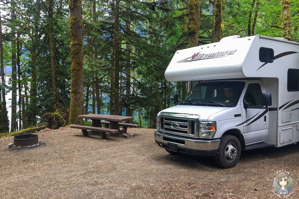 Fairholme Campground im Olympic NP