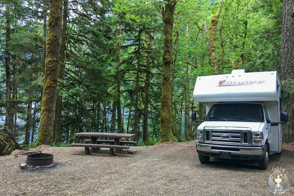 Fairholme Campground im Olympic National Park