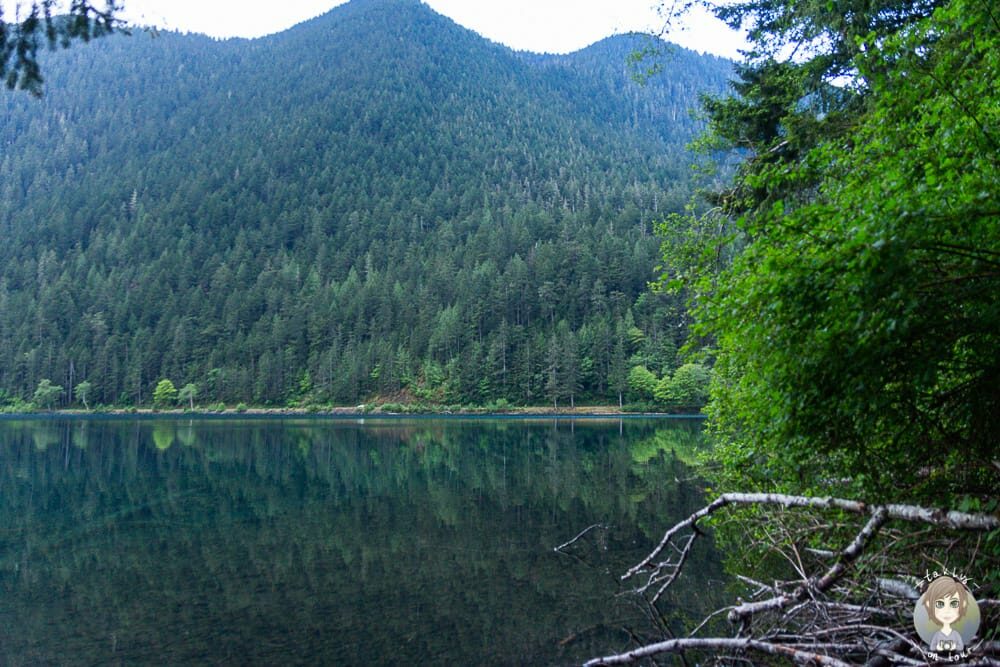 Lake Crescent am Fairholme Campground