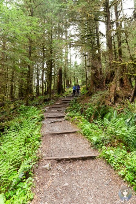 Sol Duc Falls Trail im Olympic Nationalpark