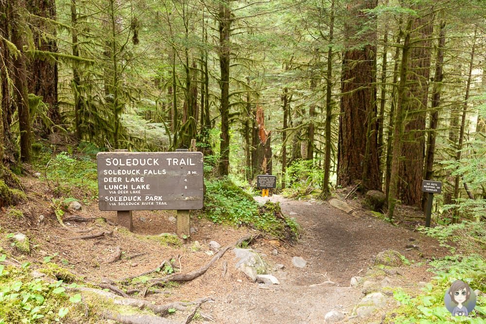 Start des Sol Duck Trails