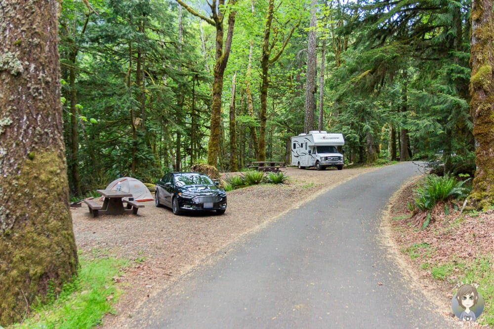 Stellplätze auf dem Fairholme Campground im Olympic Nationalpark