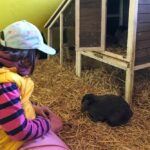 Kaninchen streicheln auf dem Bauernhof beim Naturcamping