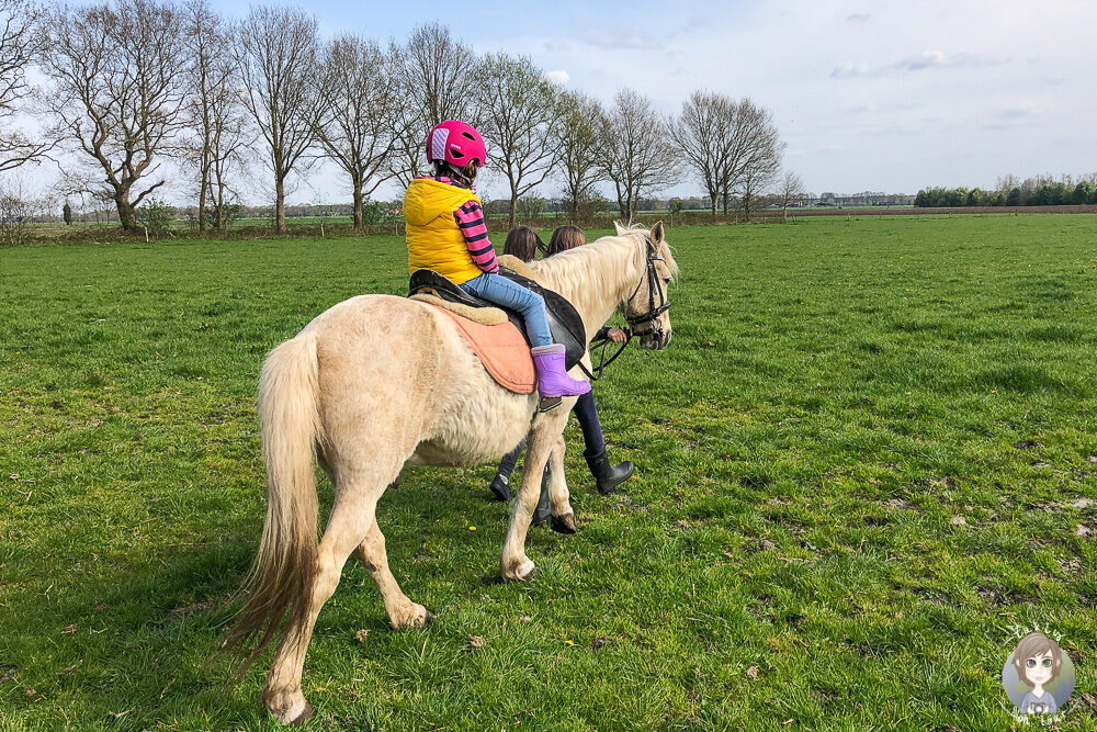 Ponyreiten auf dem Wiesenbett Hof De Lange Weide