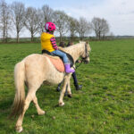 Ponyreiten auf dem Wiesenbett Hof De Lange Weide