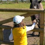 Pony streicheln auf dem Bauernhof