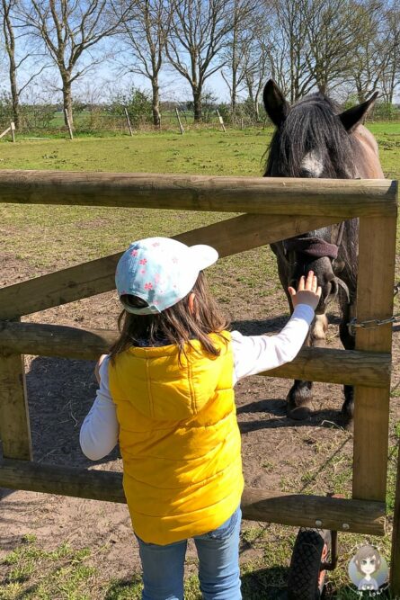 Pony streicheln auf dem Bauernhof