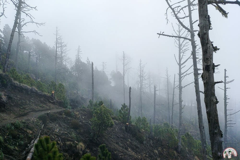 Nebelige Vulkan Acatenango Wanderung auf einer Guatemala Reise