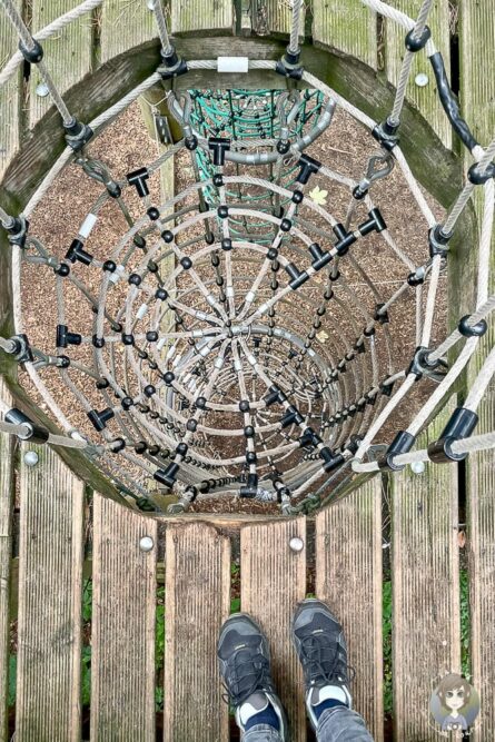 Aufsteig im Kletterpark Rietberg