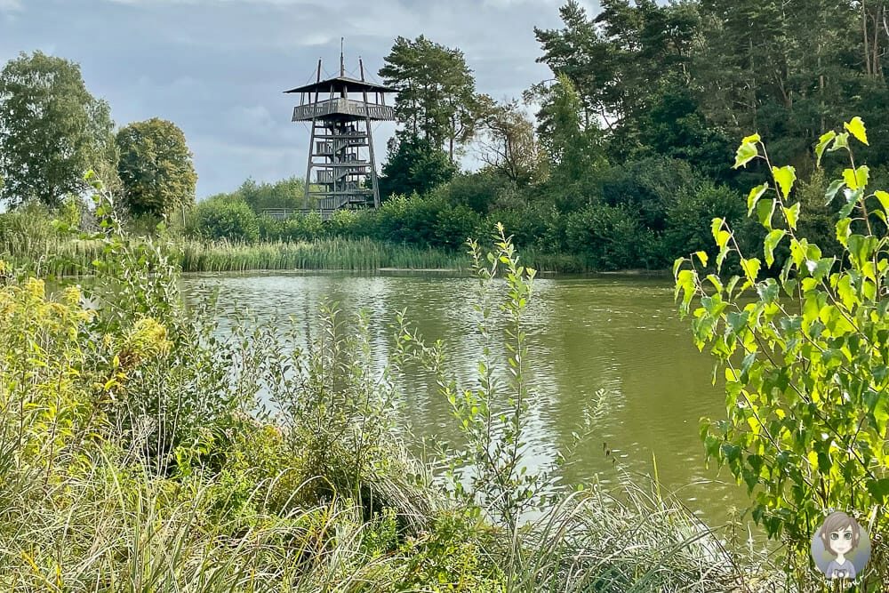 Aussichtsturm im Gartenschaupark Rietberg