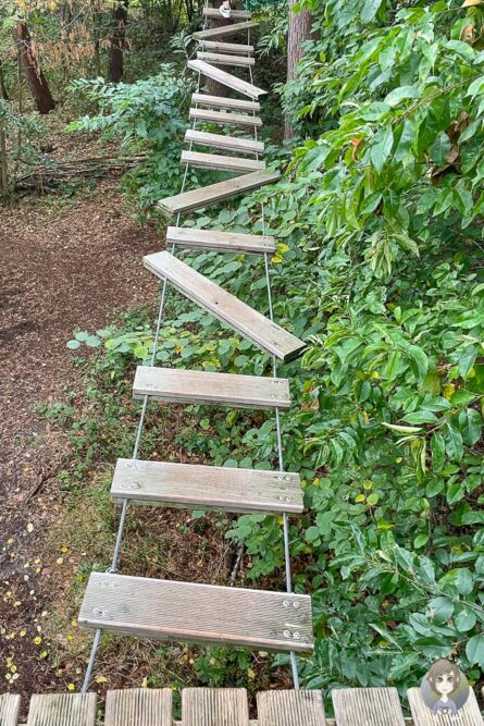 Ein Hindernis vom Waldparcours im Kletterpark Rietberg