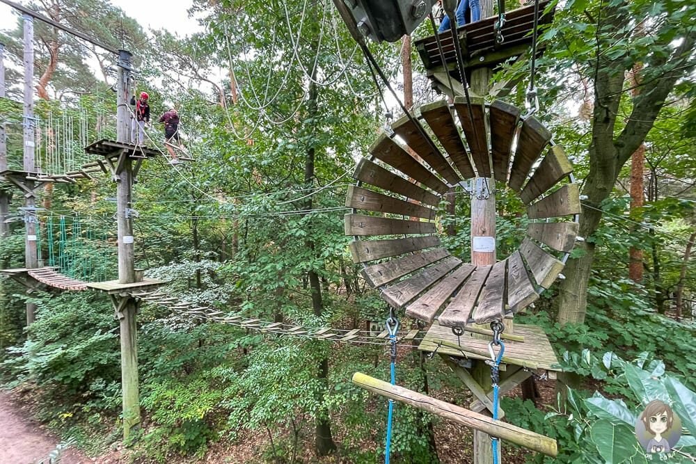 Blick auf Hindernisse im Kletterpark Rietberg