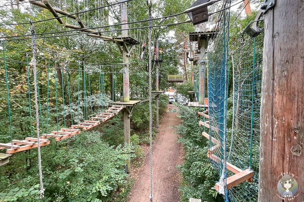 Hindernisse im schnurstracks Kletterpark Rietberg