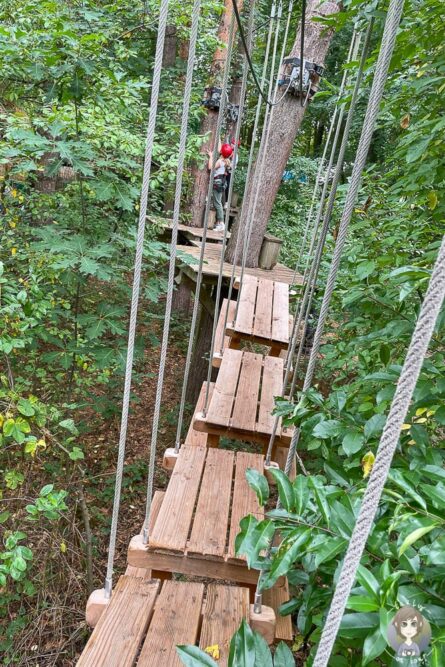 Ein Hindernis im Kletterwald Rietberg