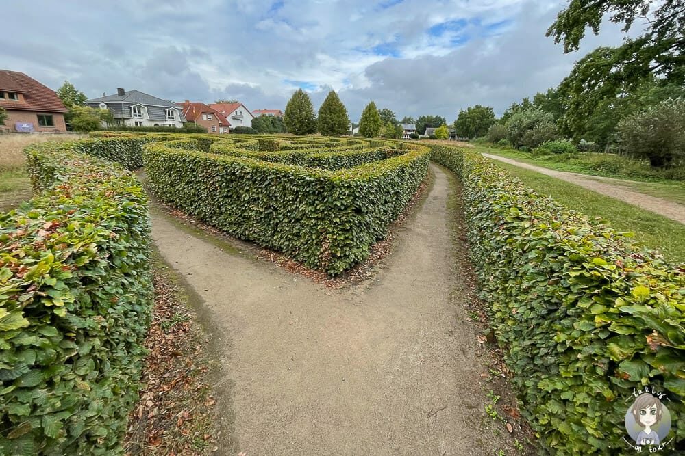 Hecken-Labyrinth im Gartenschaupark Rietberg