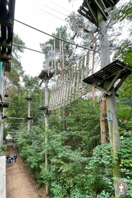 Der Parcours im Kletterpark Rietberg