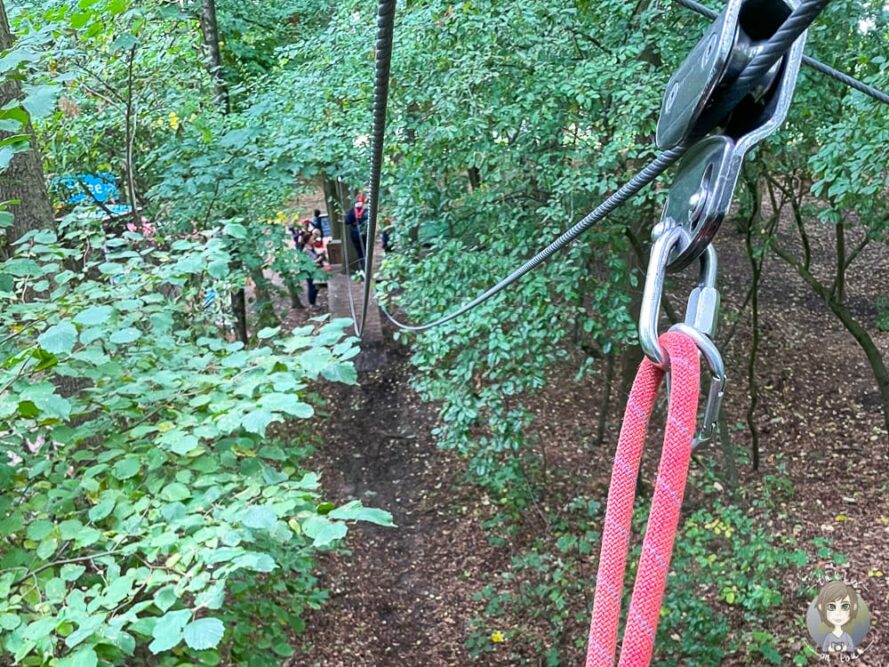 Seilrutsche im Waldparcours vom Kletterpark Rietberg