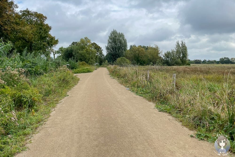 Spazierweg im Gartenschaupark Rietberg