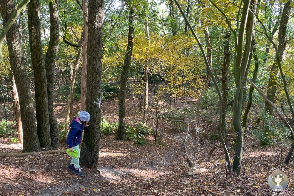 Abenteuer-Schnitzeljagd in Hardenberg ein Ausflug im Vechtetal