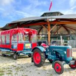 Der Hanomag Traktor mit Planwagen für die Kuhsafari im Erve Vechtdal