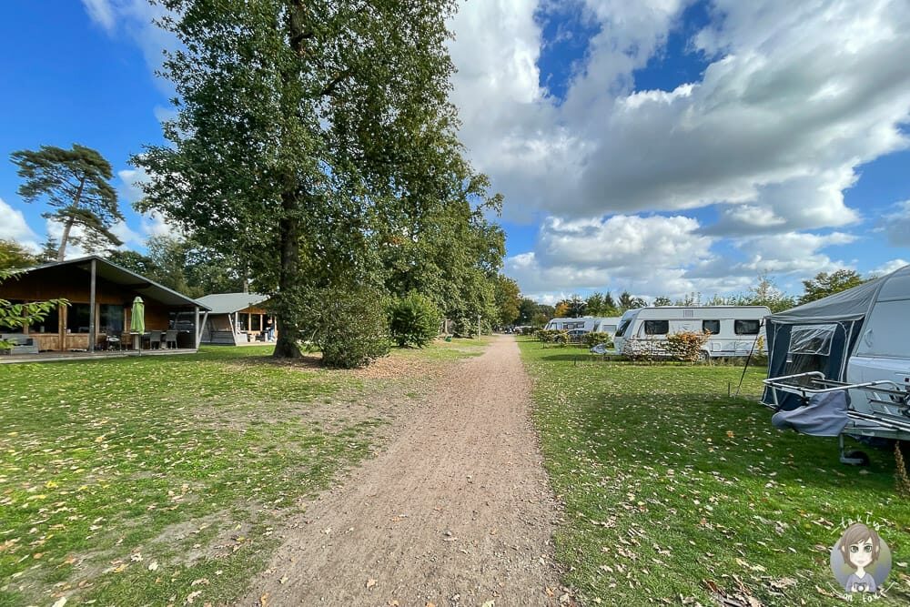 Camping De Kleine Wolf in der Natur