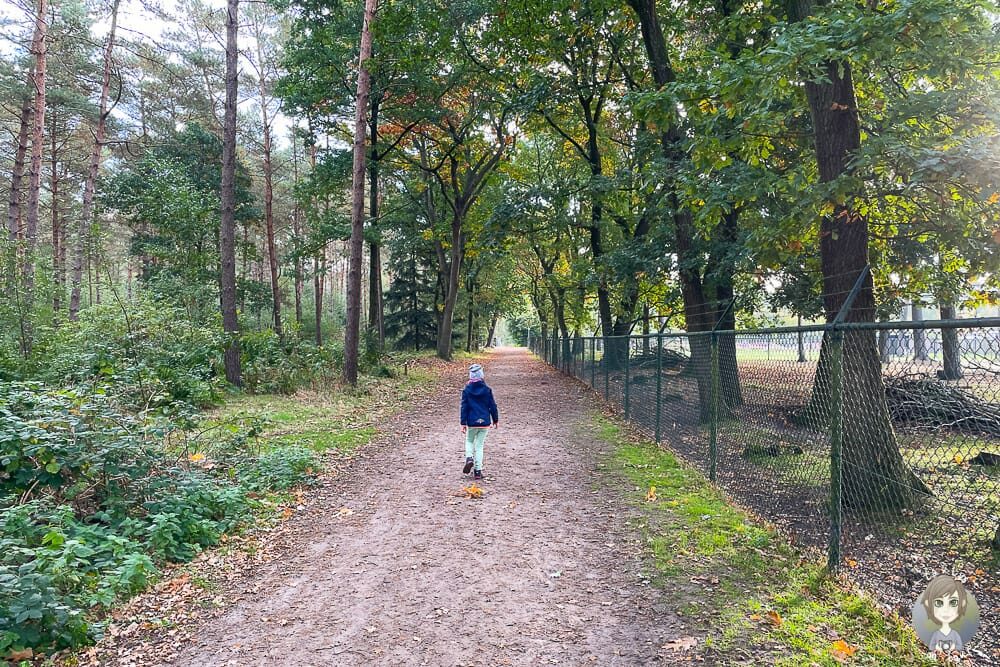 Spaziergang über den Campingplatz Kleiner Wolf