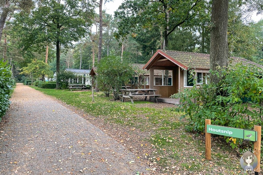 Kleine Hütten vom Der Kleine Wolf Camping in den Niederlanden