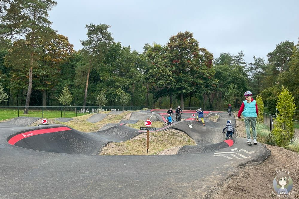 Pumptrack für Mountainbiker auf dem Camping De Kleine Wolf