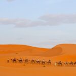 Marokko Rundreise: Vom Hohen Atlas über die Sahara zum Atlantik