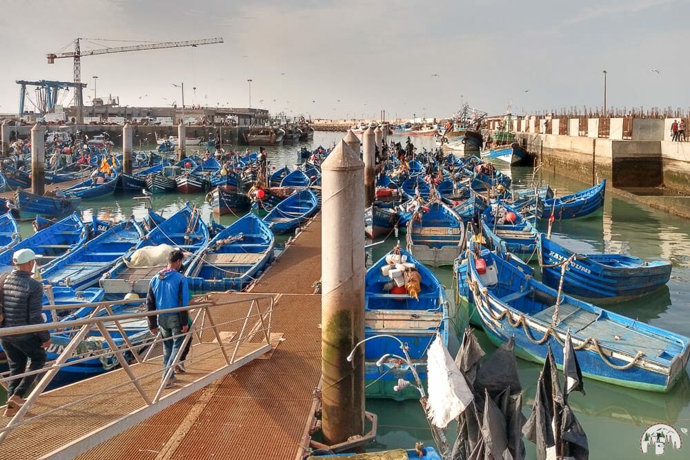 Besuch von Essaouira auf einer Marokko Rundreise