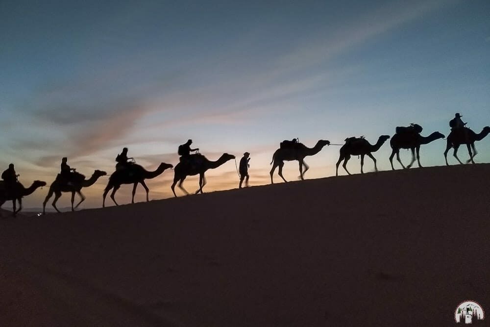 Auf Kamelen durch die Sahara Dünen in Marokko