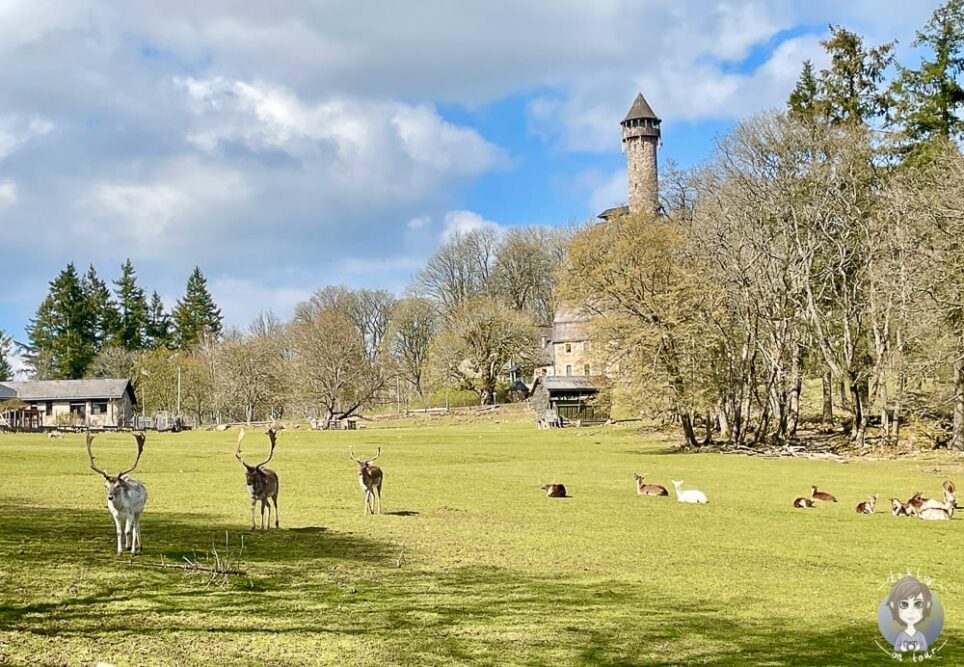 Ausflüge im EdelSteinLand mit dem Wohnmobil