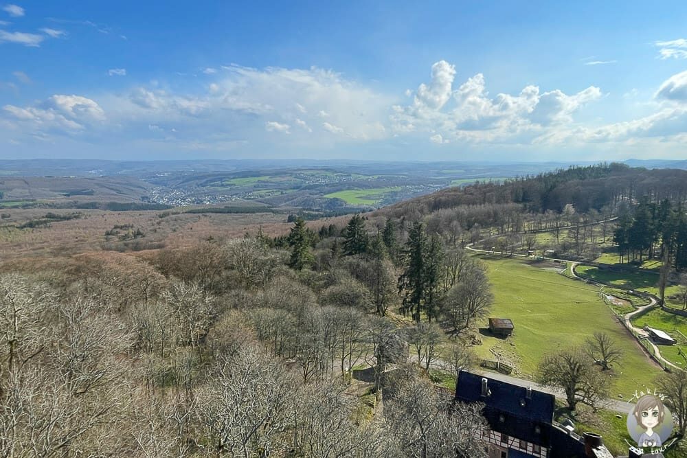 Aussicht von der Burgruine Wildenburg