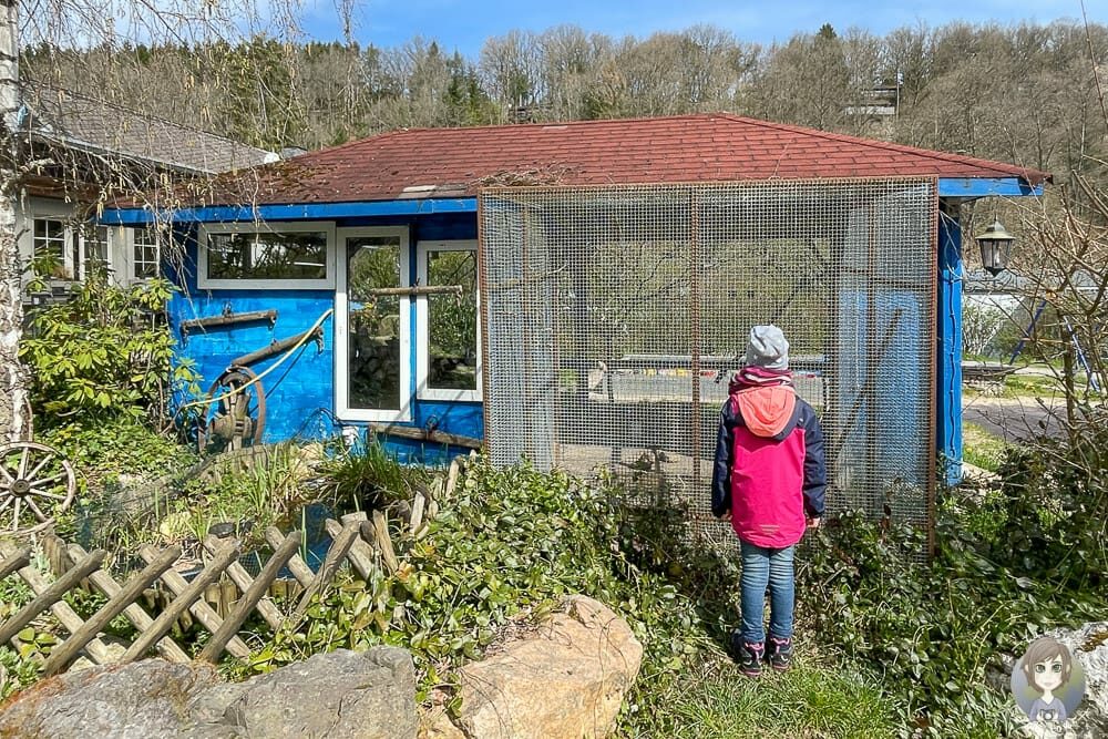 Freizeitangebote auf dem Camping Harfenmühle