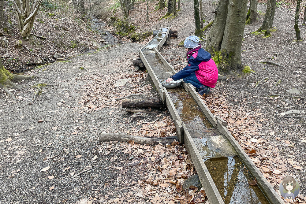 Goldgraben auf dem Camping Harfenmühle